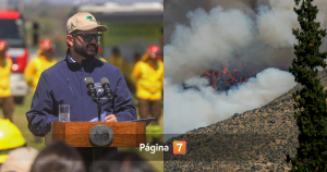 Presidente Boric hace llamado a prevenir incendios forestales: "Evitemos conductas de riesgo"
