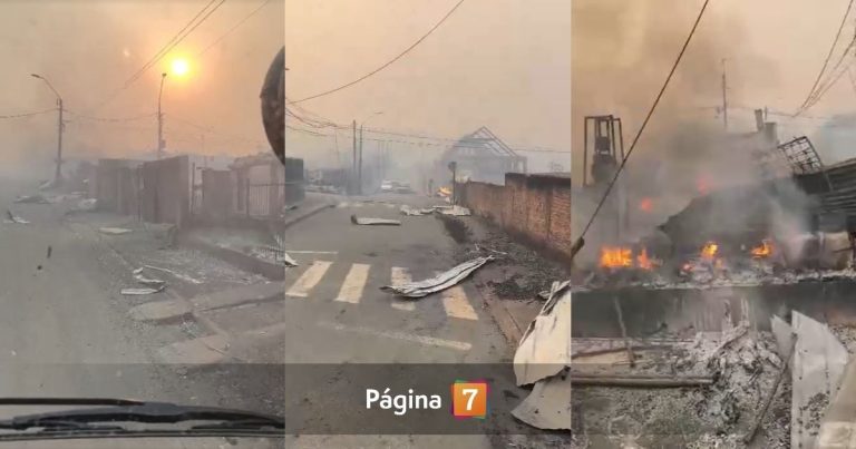 Punta de Parra consumida por incendios: localidad tomecina fue arrasada al menos en un 80%