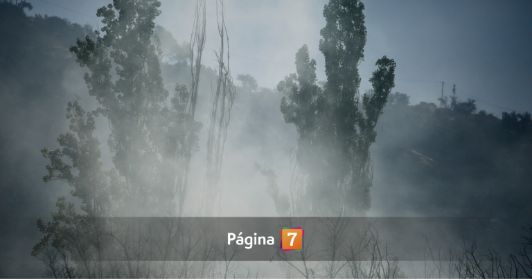 Senapred llamó a evacuar sector de Panitao Bajo en Puerto Montt por incendio forestal