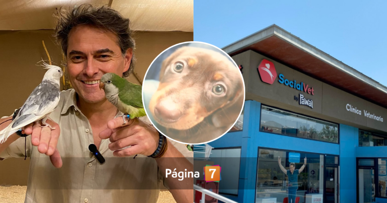 Denuncian a clínica de 