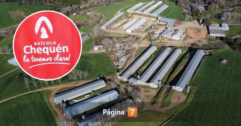 Avícola Chequén baja sus cortinas tras 68 años de funcionamiento: las razones del cierre
