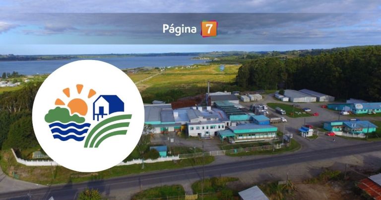 Cierre de Chilolac sacude a Ancud: 130 trabajadores quedan sin empleo tras 56 años de historia