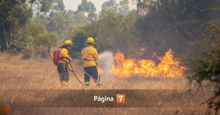 Declaran Alerta Roja por incendio en San Nicolás: Senapred activó mensajería SAE y solicita evacuar