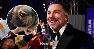 José Antonio Neme detalló el delicado estado de salud de su perro Frodo