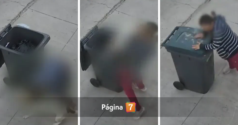 Video muestra a mujer arrojando a perro dentro de basurero en Cerro Navia: animal quedó con lesiones