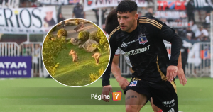 Buscan expulsar a jugador de Colo-Colo de condominio en La Florida se bañó desnudo en la piscina